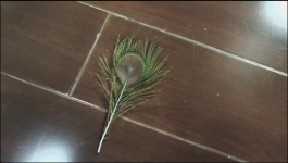 Pyaar Ka Pehla Naam Radha Mohan - 8th September 2023